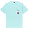 Dolly Noire Pokémon Starter Kanto, Unisex, T-Shirt in Cotone, Collezione Ufficiale (IT, Testo, S, Regular, Regular, Blastoise)