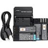 QIAO JIN LIN DSTE D-LI90 - Batteria agli ioni di litio (2 pezzi) e caricabatterie micro USB compatibile per fotocamera digitale Pentax DLI90, D LI90, 645D, K-01, K-3, K-5, K-5 II, K-5 II, K-5 II, K-7