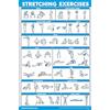 Palace Learning QuickFit - Poster per Esercizi di Stretching, su Entrambi i Lati, 45,7 x 68,6 cm