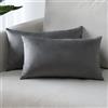 Sungeek Confezione da 2 Federe in Velluto, Fodere per Cuscini Decorativi Morbidi Copricuscini Divano di Lusso per Divano Letto Soggiorno Camera da Letto (30x50cm, Grigio Scuro)