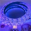 Cleiscry Striscia LED UV da 24 V, 5 m, 395-405 nm, 120 LED/m, SMD 2835, striscia di luce nera, per feste fluorescenti DJ, IP30