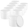 Idroponica Secchio 3L con Coperchio e Manico - Bianco 3 pezzi