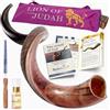 HalleluYAH Kosher Kudu Shofar semi-lucidato originale | Da Israele