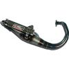 giannelli scarico completo race reverse benelli quattronovex 2012 12