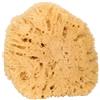 Niyok® Spugna Naturale Grande Morbida Spugna Naturale Spugna Corpo Sostenibile Doccia Bagno Senza Plastica Biodegradabile Spugna Marina Naturale Europa