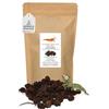 GARNELEN4YOU® Coni di ontano | trattamento dell'acqua naturale & mangimi a lungo termine | imballaggio ecologico | ingredienti preziosi per gamberetti, gamberetti, pesci | Alder cones (150 g - circa