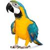 BLUSUPERSHOP PETTORINA ARA ARARAUNA nastro elastico 15mm ARANCIO con 2 attacchi ACCIAIO o plastica SGANCIABILI e regolabili con GUINZAGLIO di 100 CM per ARA O ALTRO GRANDE Ara macao pappagalli