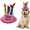 MultiValue Cappello per Canii Coroncina Compleanno, Cappellino di Peluche a Forma di Torta di Compleanno, Cappello Animali per la Festa di Compleanno Del Tuo Animale Domestico