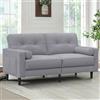 Aotumm Ciort Divano 2 Posti Moderno Con Cuscini Spessi, 2 Cuscini, Comodo in Lino Con 2 Tasche per Soggiorno/Camera da Letto/Ufficio, Facile Montaggio, Piccolo (Grigio Medio)