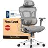 FLEXISPOT Sedia Ergonomica da Ufficio Gaming ErgoX Max, Poggiatesta 4D, Braccioli 5D, Schienale e Supporto Lombare Integrati, Portata 300 kg, Grigio