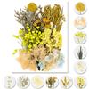 iDattel Fiori secchi Naturali,Fiori secchi per Resina,Mix di Fiori Naturali, per Fai da Te, Set di Fiori essiccati Naturali, per Artigianato, Fai da Te, in Resina, Album di Ritagli(Giallo)