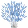 deegbbyi 120 Pezzi Erba di Pampa Secca, Decorazione di Erba Della Pampa Essiccata Blu, Fiori Secchi di Coda di Coniglio, Decorazione in Stile Bohémien, Adatto per Casa, Matrimoni, Festival, Feste