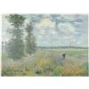 MyPuzzle.com MyPuzzle Campi Di Papaveri Presso Argenteuil (1875) Di Claude Monet - Premium 1000 Pezzi Puzzle - MyPuzzle Collezione speciale di Aepyornis