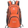 Generico Personalizzata Zainetto Bambino con Nome per Uomo Donna, Zaino da Hiking 20L, Impermeabile Zaino Leggero Pieghevole, Zaino Scuola per Viaggi e Sport Regali Bambini 40 * 25 (Arancione)