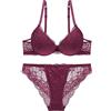 SHEKINI Completi Intimi da Donna Sexy Lingerie Push up Reggiseno e Slip in Pizzo Elegante Reggiseno con Ferretto Fisso Imbottitto Tracolla Regolabile