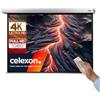 Celexon Leinwand Motor Professional Plus 300 x 225 cm