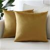 Sungeek Confezione da 2 Federe in Velluto, Fodere per Cuscini Decorativi Morbidi Copricuscini Divano di Lusso per Divano Letto Soggiorno Camera da Letto (40x40cm, Oro)