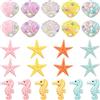RoadLoo Conchiglie Stella Decorazione,RoadLoo 24Pcs Mini Stelle Marine Decorative in Resina Multicolore Marina Stella Marina Naturali per Acquari DIY Cabina Album Fotografico Decorazione Casa Artigianato