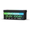 Dyness Batteria Litio LiFePO4 24V 100Ah con 100A BMS e Protezione Bassa Temperatura, Batteria 24V per Fotovoltaico Accumulo, Barche da Pesca Bass, Sistemi di Energia Rinnovabile, Camper (RV), Off-Grid