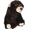 TY - Peluche - Beanie Babies - Cucciolo di Orso - Kodi - Marrone - Orsetto con occhi dorati glitter - Il peluche con gli occhi scintillanti - 15 Cm - 40170