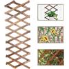 Kalsey Graticci Espandibili Per Piante, Traliccio Verticale Per Piante Rampicanti, Tralicci Da Giardino Espandibili, Tralicci Piante Da Giardino e Balcone, utilizzato Per Piante Da Giardino e Balconi