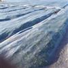 BricoLoco.com Rete antigelo Copre Piante Inverno Alta DurabilitàPolietilene HDPE 38 grs./m2. Coperta termica Proteggi gelo frutteto, alberi, frutteti, tessuto protettivo (4x25 MTS.)
