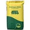 Generico Sementi da prato IBIZA Gramigna (Cynodon Dactylon) FITO' conf. da 1 kg