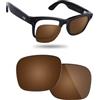 Fiskr Lenti di ricambio compatibili con occhiali intelligenti Ray-Ban Meta Wayfarer RW4006 da 50 mm, resistenti agli urti e vestibilità perfetta, Marrone ambrato., Taglia unica