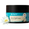 PILGRIM Crema notte anti-invecchiamento al retinolo coreano con acido ialuronico e vitamina C Scopri la pelle giovane, senza rughe e radiosa Crema anti invecchiamento per pelli grasse e secche, per