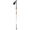 LEKI Skysolo FX Carbon