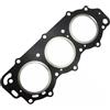 FiHzer Guarnizione Testata for fuoribordo a 2 Tempi 40 50 PRO 50 3-CYL 6H4-11181-A0 18-3830