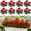 Hoadyush 8 Pcs Fiori Artificiali, Gerani Finti Rosso, Sembrano Veri Decorativo Fiori Artificiali, Resistenti Raggi UV Intemperie, Esterno Balcone Patio Cimitero Sospensione Fioriere Decorazione Tavolo