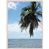 RK Cadres Cornice portafoto 35x35 / 35 x 35 Cornice portafoto Bianco, 2 Centimetri di Larghezza, Foto Struttura in Legno