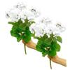 BEIJIALY 2 fiori di geranio artificiale, 36 cm, geranio artificiale, rami di seta, geranio in finta seta, cespugli floreali da giardino per la casa e il giardino (bianco)
