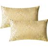 CaliTime - Confezione da 2 federe per cuscini per divano, per la decorazione della casa, stile vintage damascato floreale brillante e contrasto opaco 30,5 x 50,5 cm, oro
