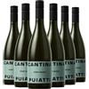 Puiatti Friuli DOC Pinot Grigio 2025 Box da 6 bottiglie