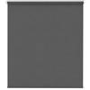 Estoralis Dracarys -Tenda a Rullo Oscurante, 110 x 230 cm, Antracite