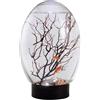 Generisch Mini bicchiere da pesce a LED | PET, 260 g, 18 x 12 cm, funzionamento a batteria, facile da pulire, per la casa, l'ufficio, il paesaggio