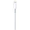 Apple Foxconn Lightning auf USB Kabel 2,0m (in blocco)