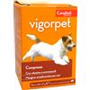 CANDIOLI VIGORPET CANI (20cpr) - Ripristina il fabbisogno energetico e metabolico