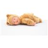 Grandi Giochi - ANNE GEDDES Teddy 23 cm - ANN10000