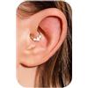 BodyBonita 16G Oro Septum Piercing Acciaio Chirurgico 316L CZ Nostril Piercing Naso Cerchio Helix Orecchino Trago Naso Cerchio Daith Cartilagine Setto Rook Piercing Naso Anello 8mm Lustrous Beam