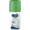 ITALSILVA COMMERCIALE Srl SAUBER DEO 48H FRESH FRESCO E ASCIUTTO VAPO 90 ML