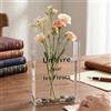 SHENGYIG Vaso Per Libri Trasparente, 19 × 14 cm, Decorazione da Scrivania