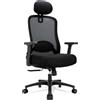 Hoolamyie Sedia da Ufficio Ergonomica con Poggiatesta, Supporto Lombare e Braccioli Regolabili, Sedia da Scrivania PC in Rete, Reclinabile 90°-130° con Blocco a 3 Posizioni, Home Office, 150 kg, Nera