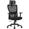 Hoolamyie Sedia Ufficio Ergonomica con Poggiatesta 2D, Sedia da Scrivania in Rete Traspirante con Supporto Lombare Regolabile, Braccioli Regolabili, Reclinabile 90°-130°, Portata 150 kg, Nero