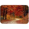 A.Monamour Tappetino per Il Bagno Antiscivolo Assorbente Morbido Alberi Colorati Della Foresta Autunnale Foglie Gialle Arancioni Strada Natura Paesaggio Tappeto Tappetini Doccia Cucina Zerbino 40x60cm