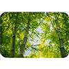A.Monamour Tappetino per Il Bagno Antiscivolo Assorbente Ramo Di Bambù Verde Foresta Di Bambù Natura Zen Sfondo Lavabile Tappeto Tappetini Doccia Passatoia da Cucina Zerbino Tappeti Cameretta 40x60cm