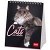 Legami - Calendario da Tavolo 2027, Cats, 12 Mesi, 12 x 14.5 cm