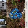 Mabe Fratti Se Ve Desde Aquí (CD) Album